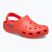 Clogs Crocs Classic starfish