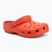 Clogs Crocs Classic starfish