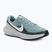 Herren-Laufschuhe Nike Revolution 8 cannon/seaweed/pure platinum/white