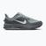 Herren-Laufschuhe Nike Pegasus Premium wolf grey/cool grey/anthracite/sail