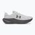 Herren-Laufschuhe Under Armour Assert 11 mod gray/mod gray/black