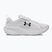 Damen-Laufschuhe Under Armour Assert 11 white/black/distant gray