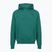 Herren Hoodie Under Armour Rival LW Hoodie rack green/black