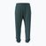 Herrenhose Under Armour Rival LW Graphic Jogger rack green/black