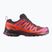 Laufschuhe Damen Salomon XA Pro 3D V9 GTX tawnyp/redora