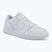 Herren Schuhe  Jordan Access Court Low white/pure platinum