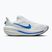 Herren-Laufschuhe Nike Winflo 12 white/off white/lapis/blue crystal