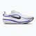 Herren-Laufschuhe Nike Winflo 12 off white/white/wolf grey/black