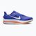 Herren-Laufschuhe Nike Pegasus Premium lapis/total orange/off noir/white