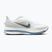 Herren-Laufschuhe Nike Pegasus Premium white/hydrogen blue/aluminum/grey fog
