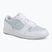 Damenschuhe  Jordan Court Connect Low white/aura/psychic blue