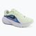 Herren-Laufschuhe Nike Downshifter 14 colt tint/white/black/black spruce