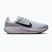Herren-Laufschuhe Nike Quest 7 pure platinum/white/wolf grey/black