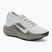 Herren-Laufschuhe Nike ACG Pegasus Trail GORE-TEX Light Silver/Light Army/Light Silver
