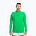 Laufsweatshirt für Herren Nike Stride 1/4 Zip Dri-Fit green spark