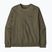 Herrenpullover Patagonia Daily Crew basin green