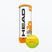 HEAD Tip Kinder-Tennisbälle 3 Stück orange/gelb 578123