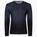 ASSOS Trail Jersey T3 LS Herren Radtrikot grau 51.24.210.70