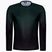 ASSOS Trail Jersey T3 LS Herren Radtrikot grün 51.24.210.6F