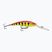 Rapala Deep Tail Dancer heißer Tiger-Wobbler