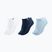 Socken Tecnifibre Low-Cut 3 pairs white/marine