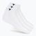 Socken Tecnifibre Low-Cut 3 Paar white/marine