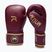 Boxhandschuhe Venum x Rajadamnern Boxing