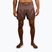 Herren Trainingsshorts Venum No Gi chocolate brown