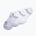 Socken Venum Vector No-Show 3 Paar white/grey