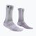 Socken Venum Vector Over-the-Calf white/grey