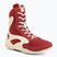 Herren Boxschuhe Venum Contender Boxing ruby red/ivory