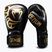 Boxhandschuhe Venum Giant 2.0 Mike Tyson Pro Boxing black/gold