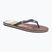 Herren-Flip-Flops Quiksilver Molokai Massive grey/orange/grey