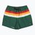 Herren-Badeshorts Quiksilver Everyday Printed Volley 15" forest outside stripe