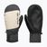 Snowboardhandschuhe für Herren DC Franchise Mitt 10K oatmeal