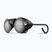Julbo Vermont Classic Spectron 4 chrom/schwarz Sonnenbrille