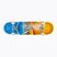 Element klassische Skateboard Rise And Shine orange und blau 531586856