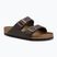 BIRKENSTOCK Arizona NL Regular dunkelbraune Flip-Flops