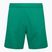 Capelli Sport Cs One Adult Match grün/weiß Kinder Fußball-Shorts