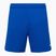 Capelli Sport Cs One Adult Match Fußball-Shorts königsblau/weiß