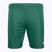 Capelli Sport Cs One Youth Match grün/weiß Kinder Fußball-Shorts