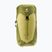 Deuter Wanderrucksack AC Lite 24 l Linden/Kaktus