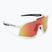DYNAFIT Trail Evo Sonnenbrille weiß/schwarz