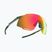 DYNAFIT Alpine Evo Sonnenbrille Salbei/Thymian