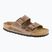 BIRKENSTOCK Arizona LEOI Regular tabakbraun flip-flops