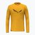 Herren Salewa Solidlogo Dry gold Trekking Longsleeve