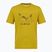 Herren-Shirt Salewa Eagle Geometric olive oil