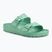 Badeschlappen BIRKENSTOCK Arizona EVA Narrow bold jade