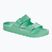 BIRKENSTOCK Arizona EVA Regular Flip-Flops fett jade