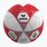 Fußball ERIMA Hybrid Training 2.0 size 5 red/silver
